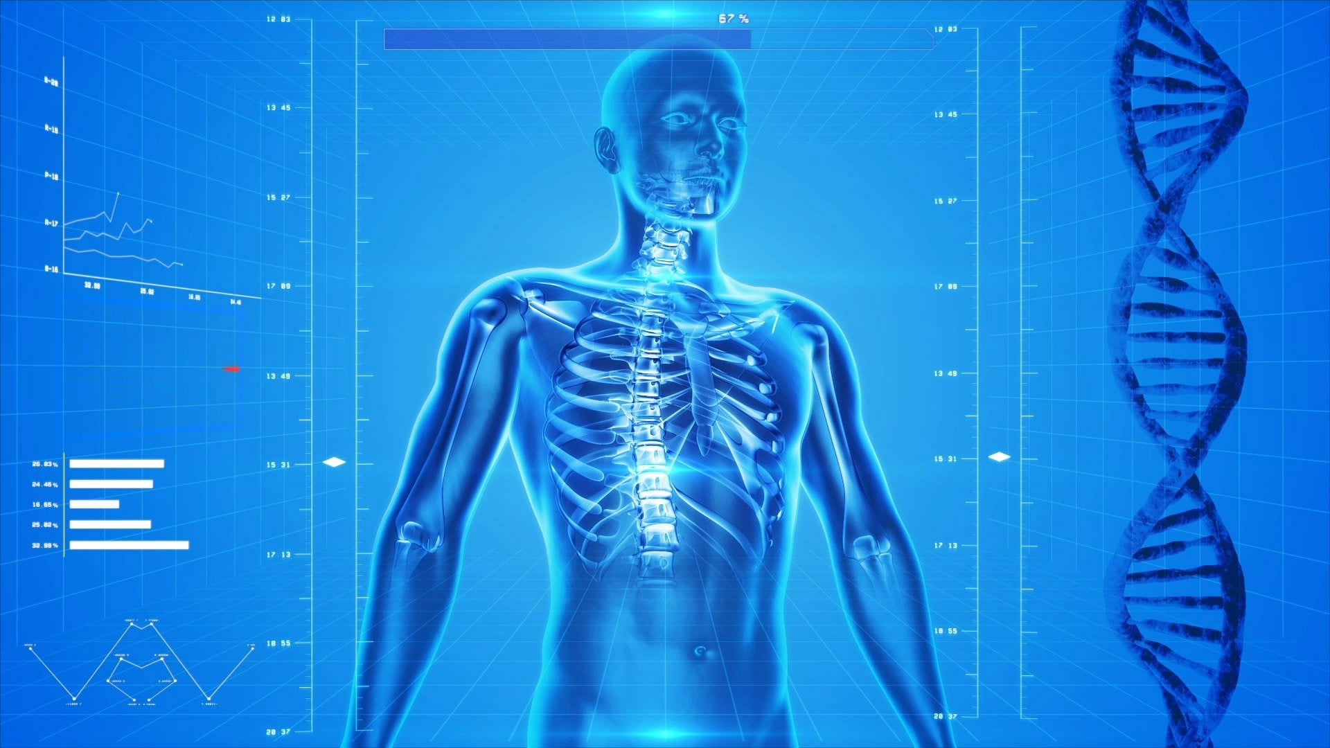 Qu'est-ce qu'un morphotype ?